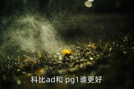 pg1和詹14哪個好,歐文6和pg1之別