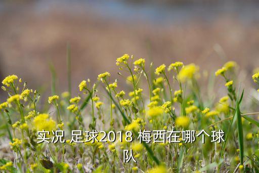  實(shí)況 足球2018 梅西在哪個(gè)球隊(duì)