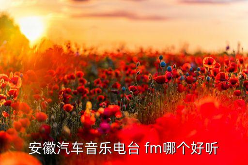 哪個fm,上航簡介:中國最好的航空公司