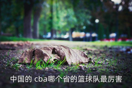 中國的 cba哪個省的籃球隊最厲害