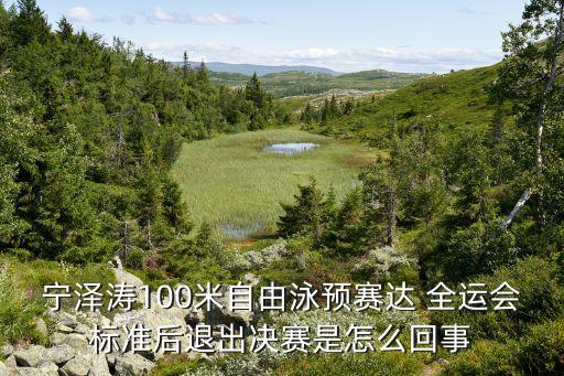 寧澤濤100米自由泳預賽達 全運會標準后退出決賽是怎么回事