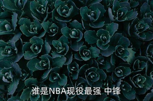 nba哪個中鋒,籃球巨星姚明成為歷史第一中鋒球員