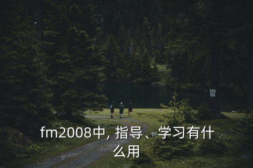  fm2008中, 指導(dǎo)、學(xué)習(xí)有什么用