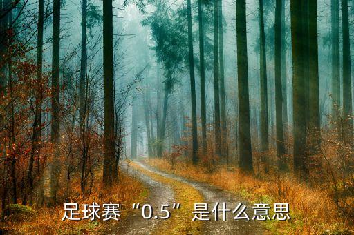 足球賽“0.5”是什么意思