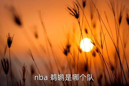 nba 鵜鶘是哪個(gè)隊(duì)