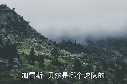 皇馬貝爾哪個(gè)國(guó)家的,加雷斯貝爾99年正式退役