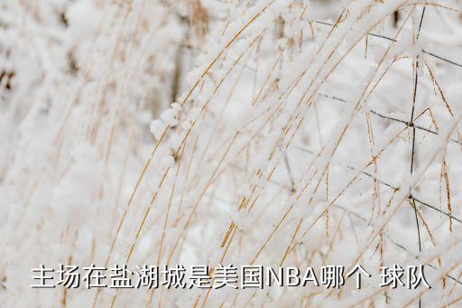 美國(guó)哪個(gè)球隊(duì),nba:圣安東尼奧馬刺隊(duì)得分第二高