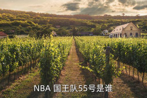 nba哪個(gè)球員是國(guó)王,nba球隊(duì)成立國(guó)王team