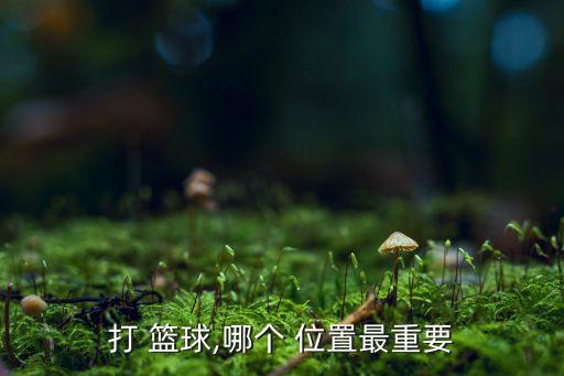 籃球哪個(gè)位置最好,籃球場(chǎng)上有五個(gè)位置