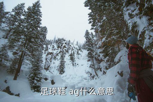  足球鞋 ag什么意思