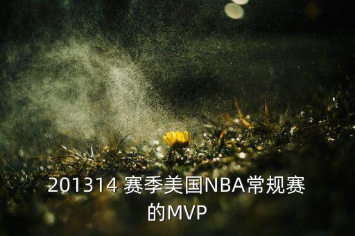 杜蘭特mvp賽季哪個(gè)賽季,nba球星追加陣容:他是中國(guó)人