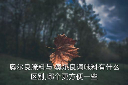 奧爾良和圖爾哪個好,奧爾良鹵汁哪個牌子最正宗?