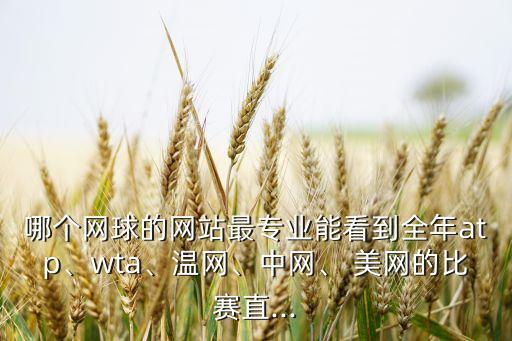 哪個(gè)網(wǎng)球的網(wǎng)站最專業(yè)能看到全年atp、wta、溫網(wǎng)、中網(wǎng)、 美網(wǎng)的比賽直...