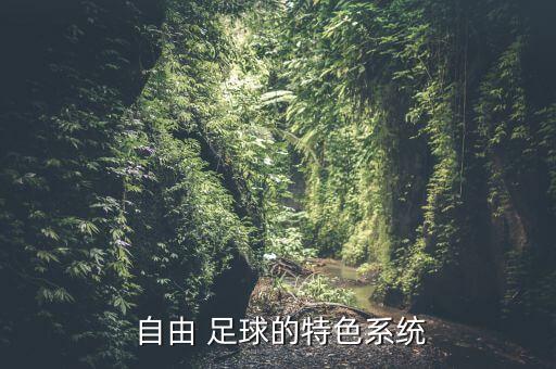 自由足球哪個(gè)職業(yè)好,玩自由足球到30級就不能跳槽