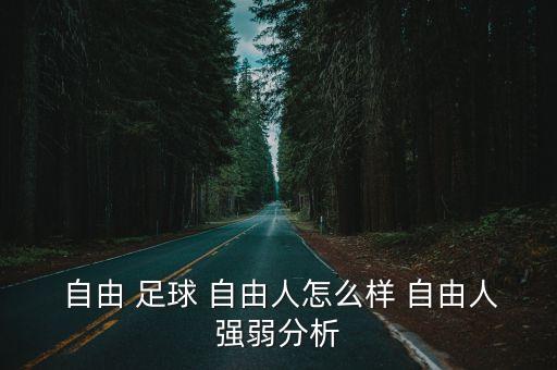  自由 足球 自由人怎么樣 自由人強(qiáng)弱分析