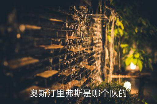 奧斯汀里弗斯是哪個(gè)隊(duì)的