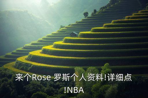 來個Rose 羅斯個人資料!詳細(xì)點!NBA