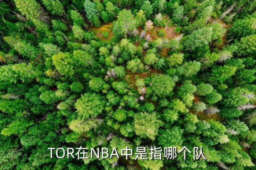 TOR在NBA中是指哪個(gè)隊(duì)