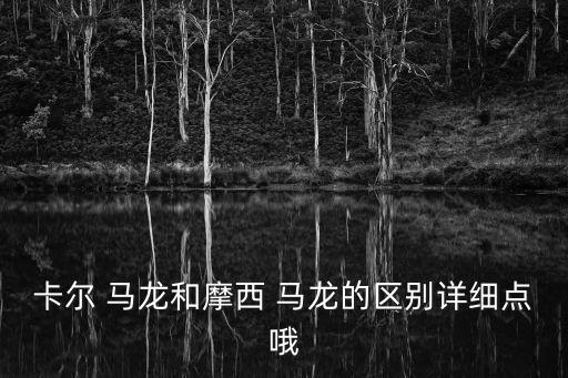 卡爾 馬龍和摩西 馬龍的區(qū)別詳細(xì)點(diǎn)哦