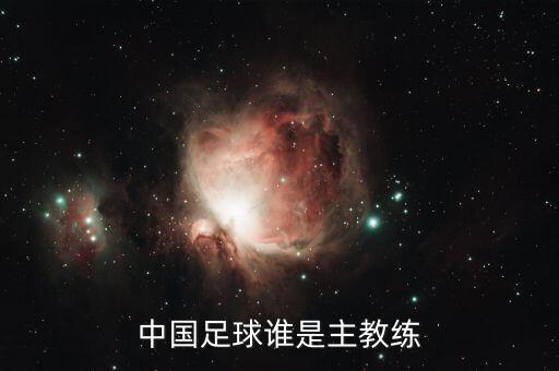 perrin是哪個球員,阿蘭·佩蘭曾是中國足球隊主教練