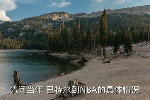 請問當(dāng)年 巴特爾到NBA的具體情況