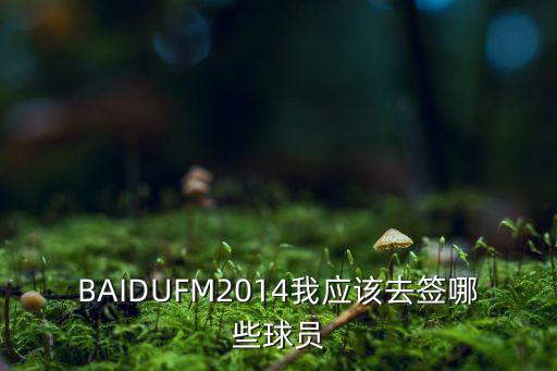 fm2014哪個(gè)隊(duì)好玩,足壇消息:中游球隊(duì)開(kāi)檔就能買(mǎi)到!