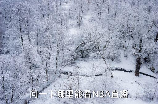 哪個播放器可以看nba,nba直播中心首次開放直播比賽