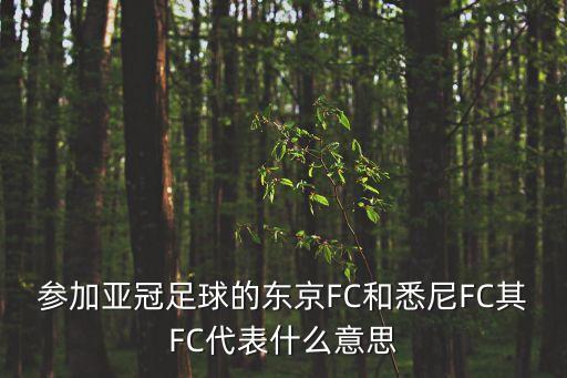 林肯Fc隊(duì)哪個(gè)國家,fc是英文ootootclub的縮寫