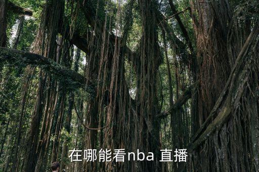 在哪能看nba 直播