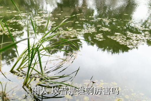 雨人 坎普是誰(shuí)啊厲害嗎