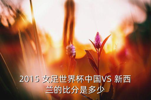 2015 女足世界杯中國VS 新西蘭的比分是多少