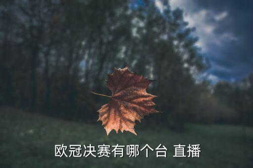  歐冠決賽有哪個(gè)臺(tái) 直播