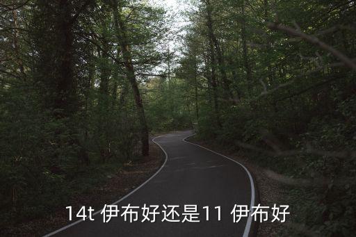 14t 伊布好還是11 伊布好