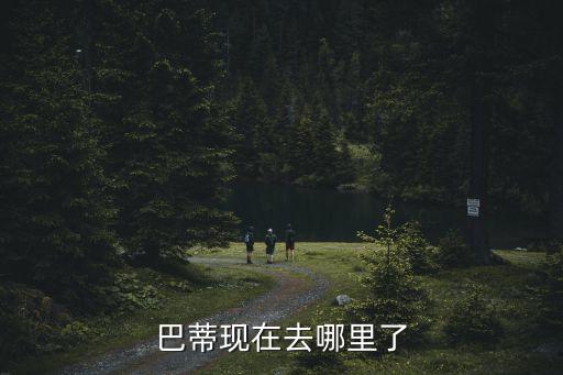 巴蒂現在去哪里了