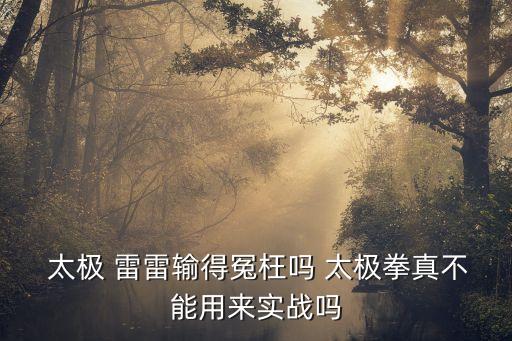  太極 雷雷輸?shù)迷┩鲉?太極拳真不能用來實(shí)戰(zhàn)嗎