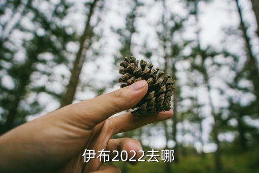 伊布2022去哪