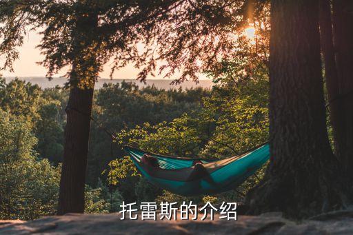 托雷斯是哪個(gè)俱樂部,比利亞雷亞爾簽下20歲防守型中場(chǎng)托雷斯