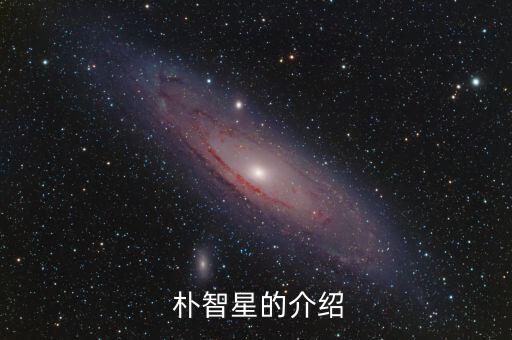 鄭大世 樸智星哪個(gè)更,樸智星在曼聯(lián)表現(xiàn)突出個(gè)人特點(diǎn)逐漸成型