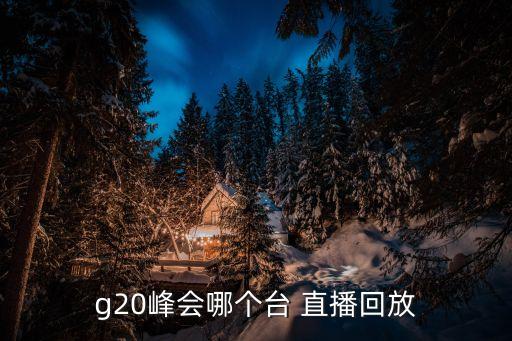 g20峰會(huì)哪個(gè)臺(tái) 直播回放