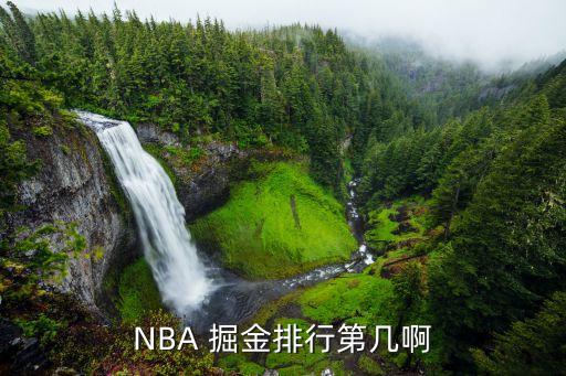 NBA 掘金排行第幾啊