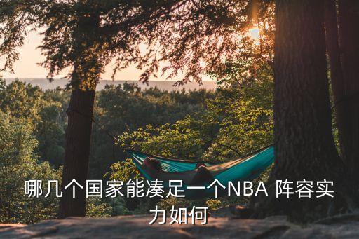 哪幾個國家能湊足一個NBA 陣容實力如何