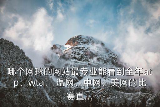 哪個(gè)網(wǎng)球的網(wǎng)站最專(zhuān)業(yè)能看到全年atp、wta、 溫網(wǎng)、中網(wǎng)、美網(wǎng)的比賽直...