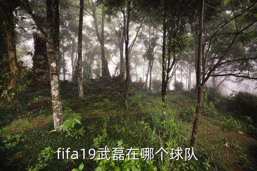 fifa19武磊在哪個球隊