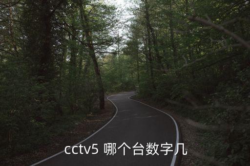 cctv 5是哪個(gè)臺(tái),央5 :體育賽事頻道是央視的高清頻道