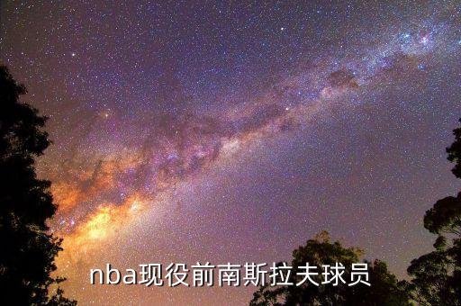 nba現(xiàn)役前南斯拉夫球員