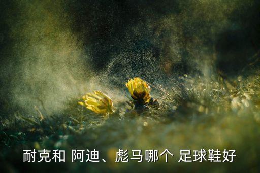 阿迪足球鞋哪個系列最好,耐克也有阿迪產(chǎn)品功能性比例