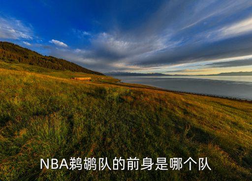 NBA鵜鶘隊的前身是哪個隊