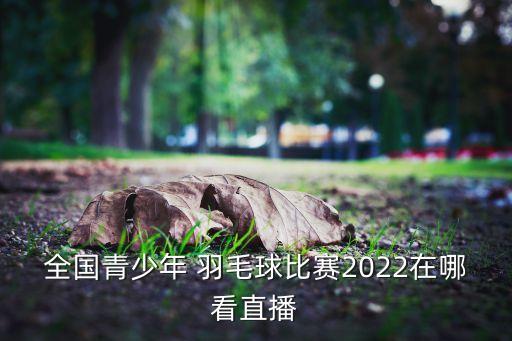 全國(guó)青少年 羽毛球比賽2022在哪看直播