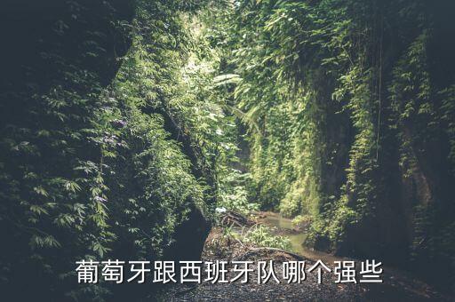  葡萄牙跟西班牙隊(duì)哪個(gè)強(qiáng)些