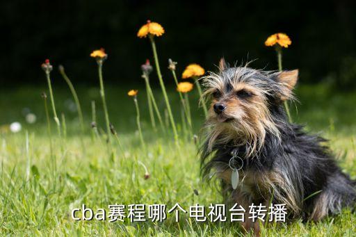 今天哪個臺直播cba,中國體育頻道直播新賽季最新積分榜